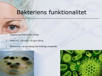 /album/bakteriernas-funktionalitet1/a7-bakterier-och-virus-010-jpeg1/